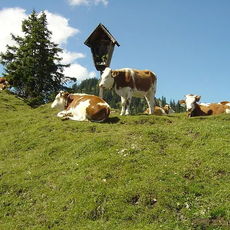 Gaestehaus Anneliese * Wallgau