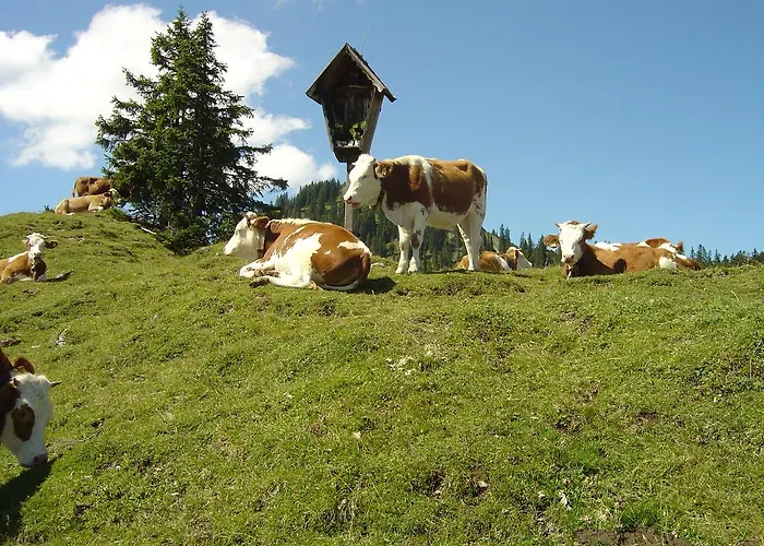 Gaestehaus Anneliese * Wallgau